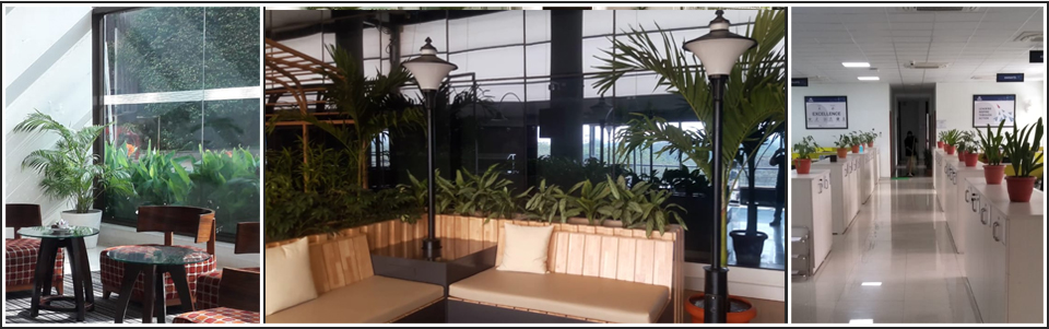 Green View Services